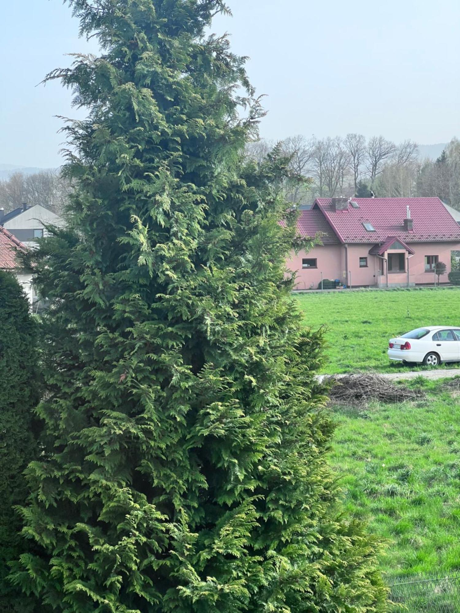 Apartament Nawojowski Nowy Sącz Eksteriør billede